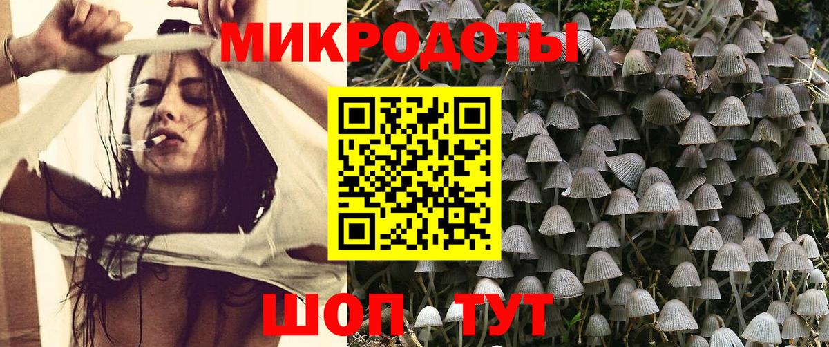 Псилоцибиновые грибы Psilocybe Десногорск